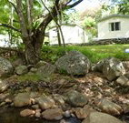 Mt Warning Rainforest Park - Tourism Brisbane