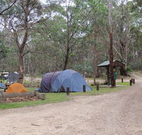 Native Dog campground - Tourism Brisbane