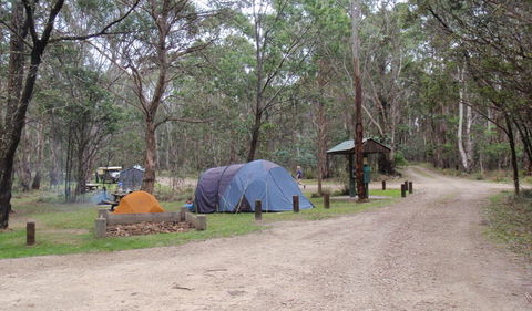 Native Dog Campground - Tourism Brisbane 0