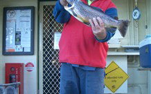 Rainbow Pines Tourist Caravan Park - Tourism Brisbane 0