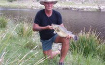 Three Waters High Country Holidays - Tourism Brisbane 1