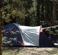 Thungutti campground - Tourism Brisbane