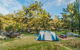 Warrabah Campground And Picnic Area - thumb 0