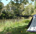 Williams River Holiday Park - Tourism Brisbane