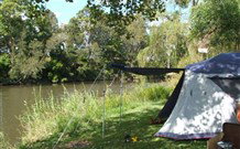 Williams River Holiday Park - Tourism Brisbane 0