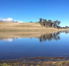 Bombala Maneroo Motel - Bombala