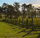 H Boutique Hotel - Pokolbin - Brisbane Tourism