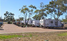 Lightning Ridge Outback Resort And Caravan Park - Lightning Ridge - Tourism Brisbane 1