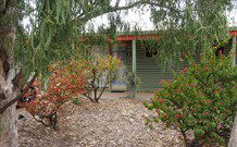 Lightning Ridge Outback Resort And Caravan Park - Lightning Ridge - Tourism Brisbane 3