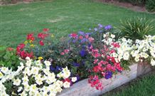 Narromine Tourist Park And Motel - Narromine - Tourism Brisbane 1