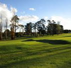 Tenterfield Golf Club and Fairways Lodge - Tenterfield - Tourism Brisbane