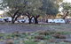 Four Mile Camping Reserve - thumb 2