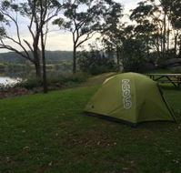Shoalhaven Zoo Camping Reserve - Brisbane Tourism