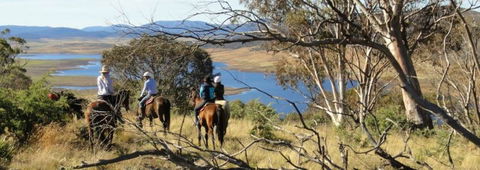 Reynella Homestead And Horseback Rides - Tourism Brisbane 3