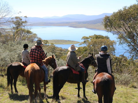 Reynella Homestead And Horseback Rides - Tourism Brisbane 0