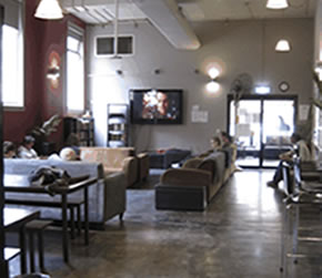 Big Hostel - Tourism Brisbane 2
