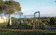 Limestone Coast Tourist Park - thumb 4