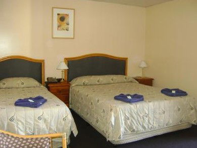 Mudgee Motor Inn - Brisbane Tourism 0