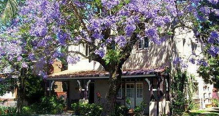 Burwood Boronia Lodge Private Hotel - Tourism Brisbane 2