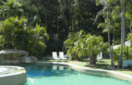 The Palms At Avoca - Tourism Brisbane 3