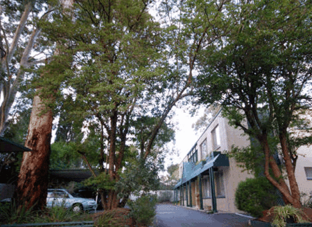 Glenside SA Tourism Brisbane