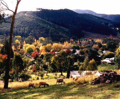 Goldfields Holiday Units - Tourism Brisbane 1