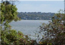 Toukley Motel - Brisbane Tourism 1