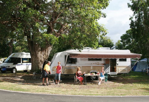 Jacob's Well Tourist Park - Tourism Brisbane 0