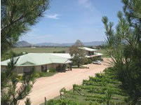 Mudgee Vineyard Motor Inn - Tourism Brisbane 1