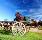 The Oaks Ranch and Country Club - Mossy Point - Tourism Brisbane