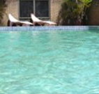 Toreador Motel - Coffs Harbour - Tourism Brisbane