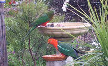 Valley View Motel Murrurundi - Murrurundi - Brisbane 4u 4