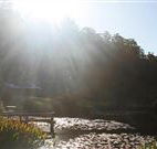 Blair Athol Estate - Brisbane Tourism