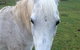 Eaglewood B And B And Farmstay - thumb 0