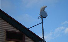 Lake View Farm House - Brisbane 4u 7