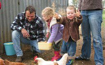 Linga Longa Farm Wingham - Tourism Brisbane 0