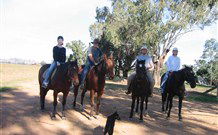 Linga Longa Farm Wingham - Tourism Brisbane 1