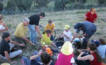 Linga Longa Farm Wingham - Tourism Brisbane 3
