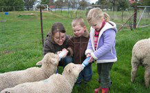 Linga Longa Farm Wingham - Tourism Brisbane 2