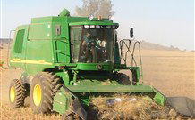 Linga Longa Farm Wingham - Tourism Brisbane 4