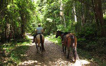 Malibells Country Cottages - Tourism Brisbane 1