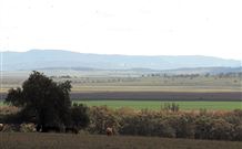 Middlebrook Station Farmstay B And B - Tourism Brisbane 2