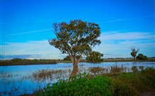 Morvern Valley Farm Stay Cottages - Tourism Brisbane 4