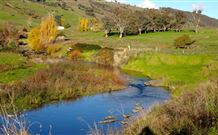 Ralda's Cottage - Brisbane 4u 0