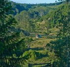 Yarralong BnB and Farm Stay - Tourism Brisbane