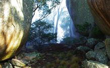 Anketell Forest Cottages - Brisbane 4u 4