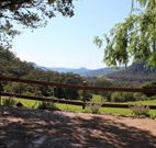 Cedar Grove - - Brisbane 4u