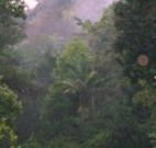 Havans Ecotourist Retreat - - Tourism Brisbane