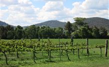 Mudgee NSW Tourism Brisbane