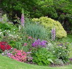 Karralika Springs B and B Mountain Retreat - - Brisbane 4u